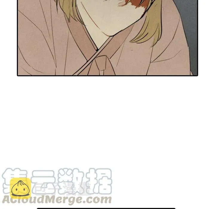 43 第13页