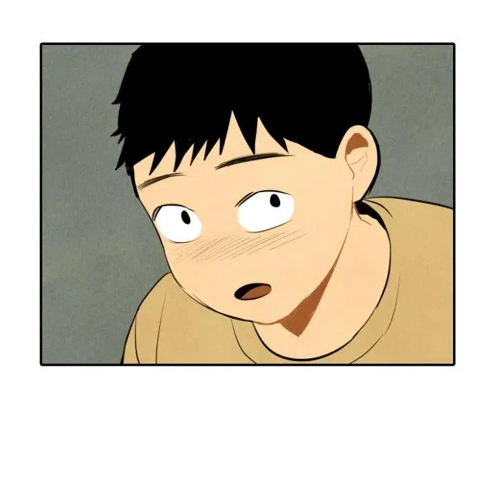 43 第51页