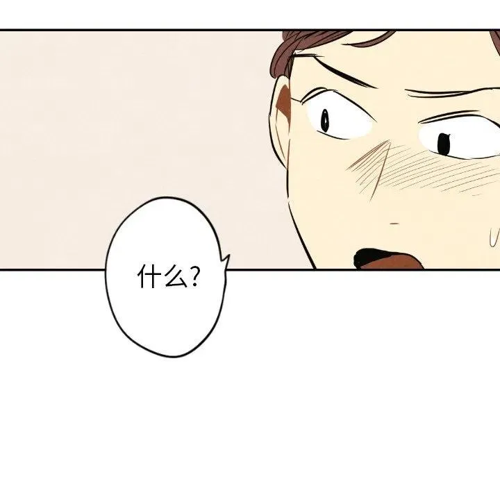 41 第22页