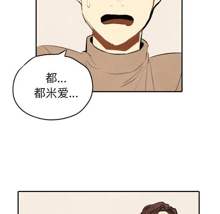 41 第31页