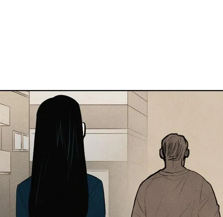 41 第43页