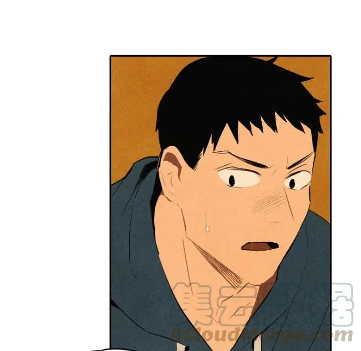 41 第57页
