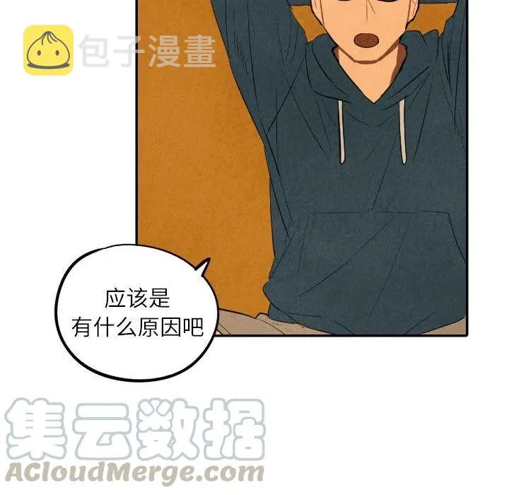 41 第61页