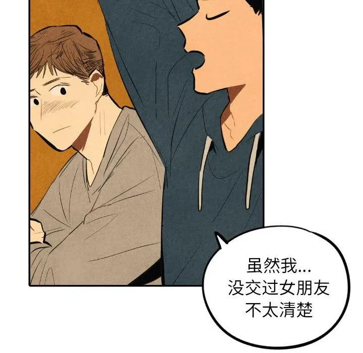 41 第63页