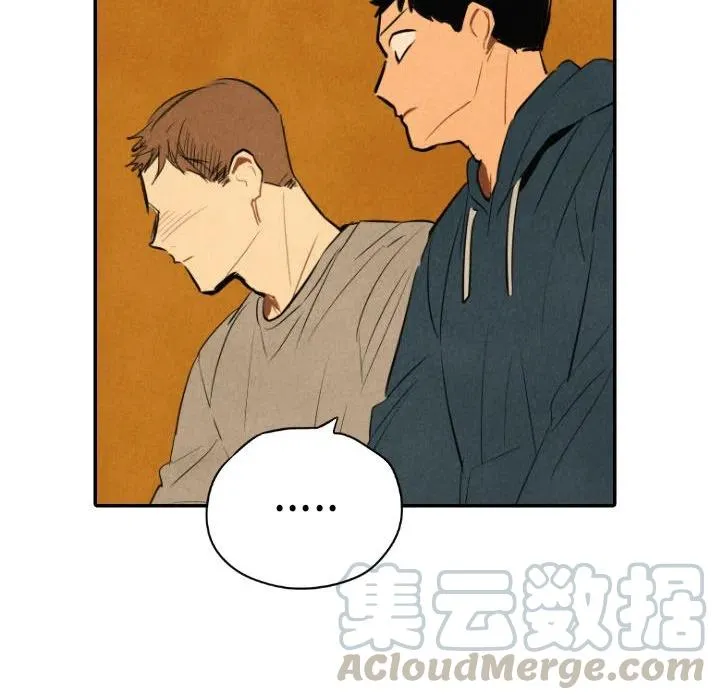 41 第73页