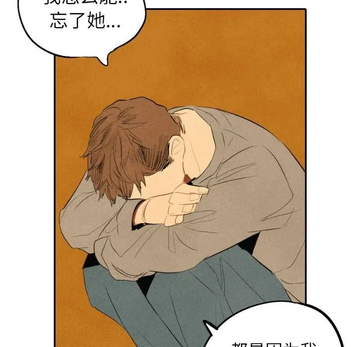 41 第79页