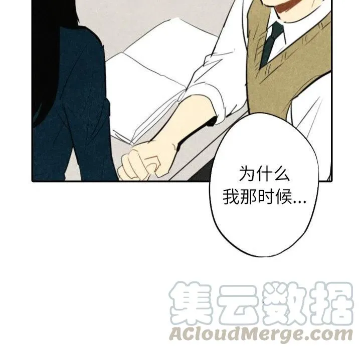 41 第81页