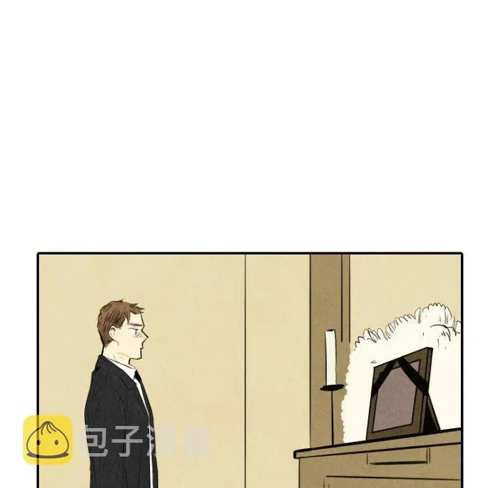 41 第88页