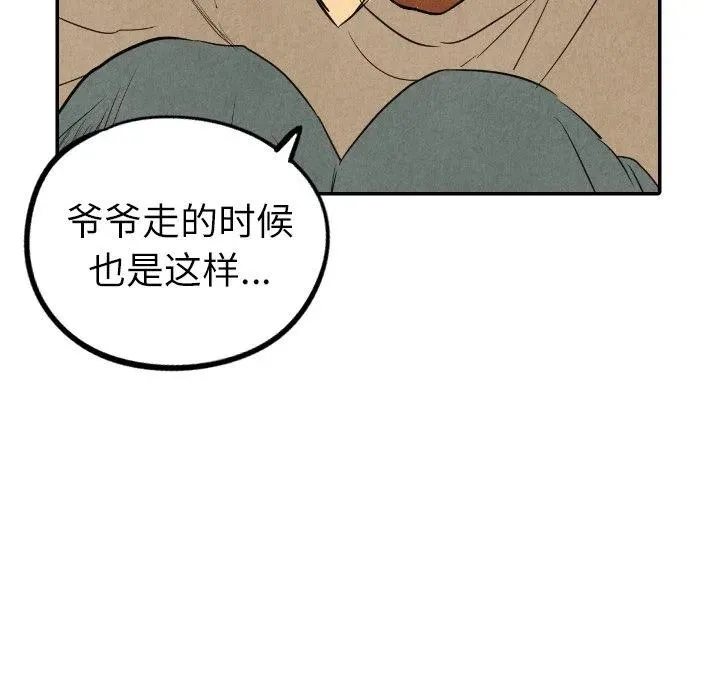 41 第96页