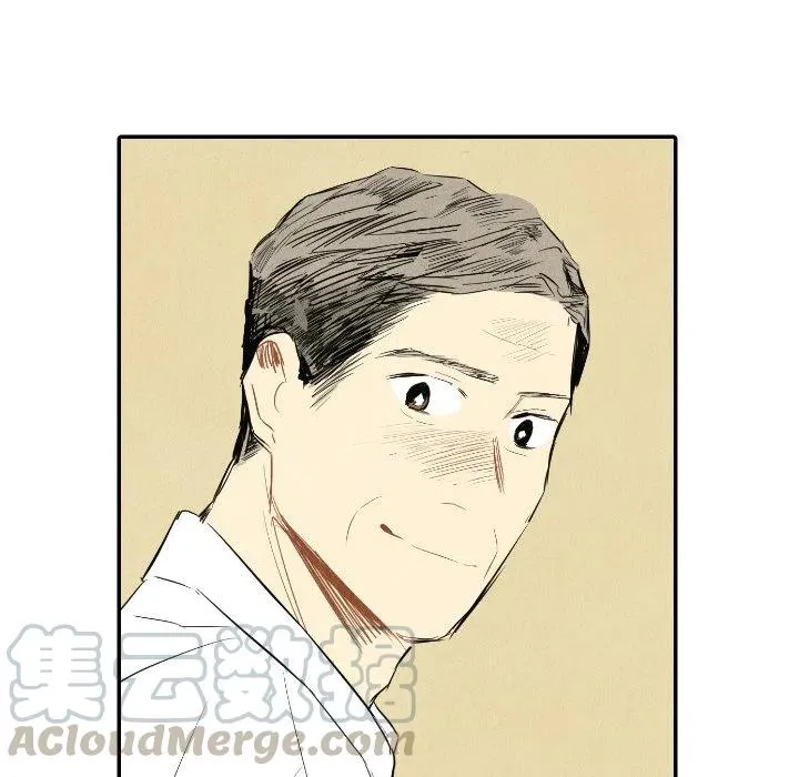 41 第97页