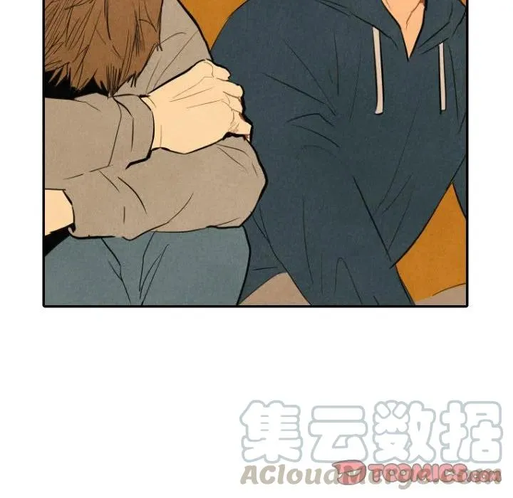 41 第105页