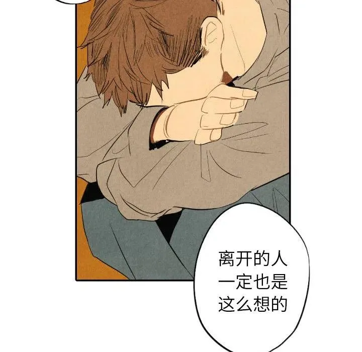 41 第108页