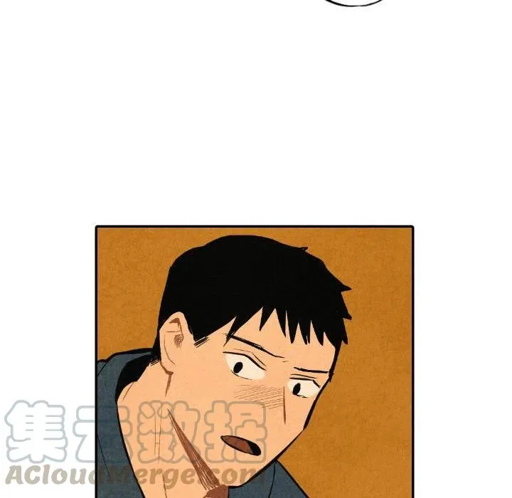 41 第109页