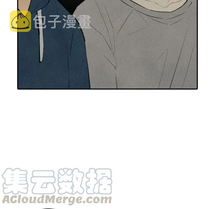 41 第133页