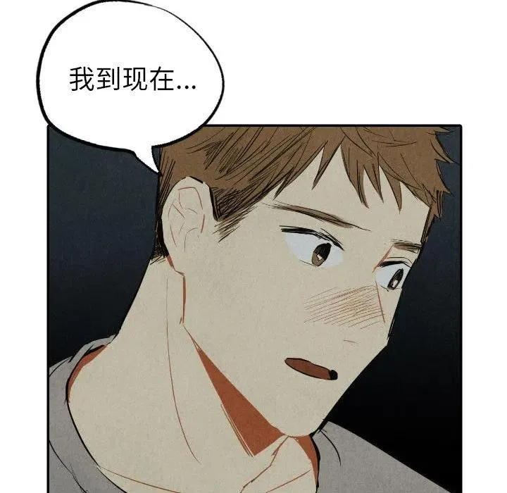 41 第134页