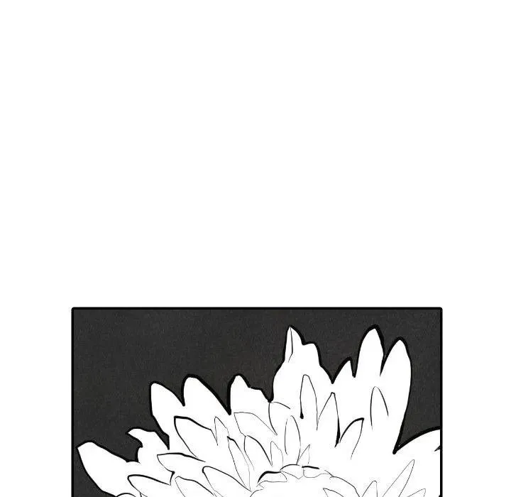 40 第39页
