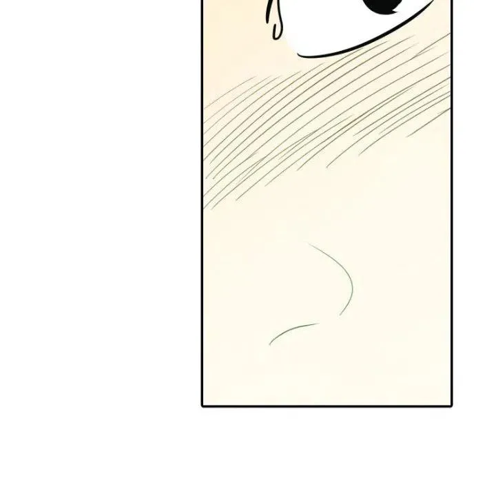 40 第116页