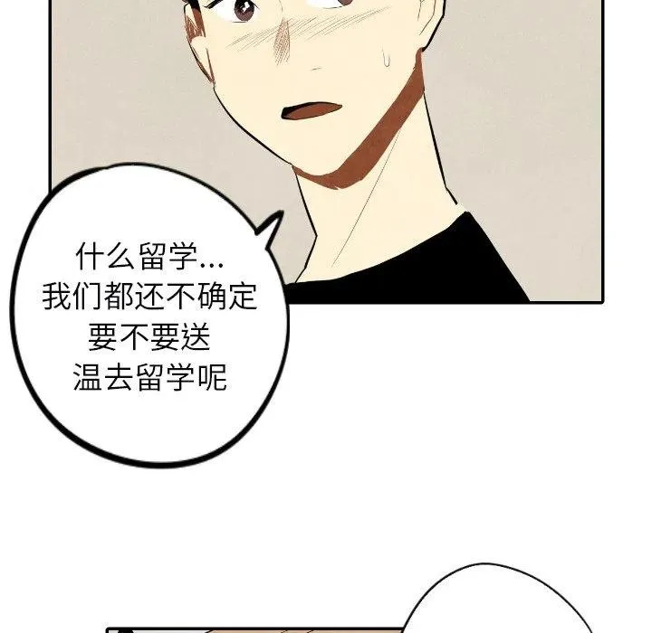 38 第106页