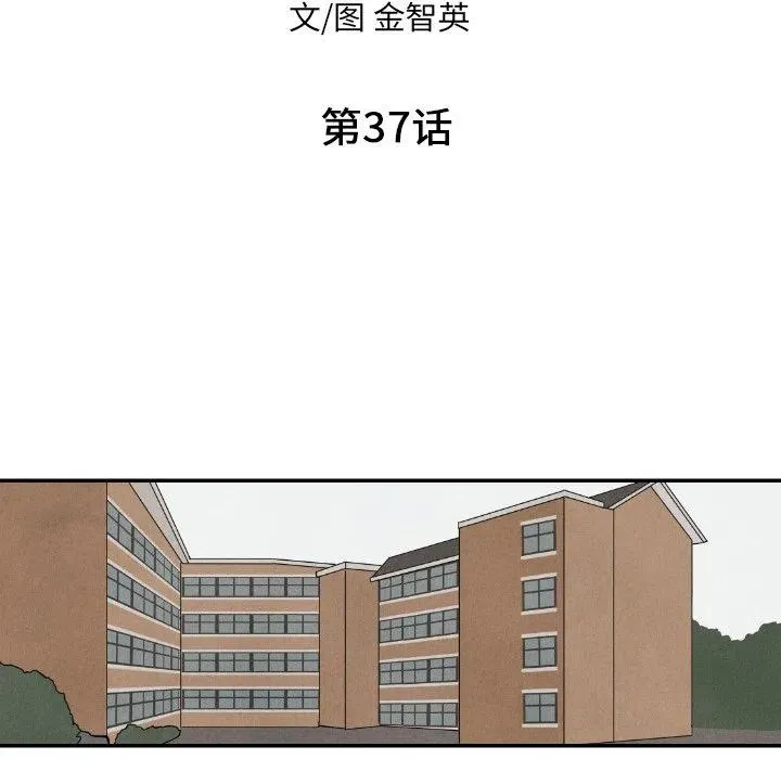 37 第11页