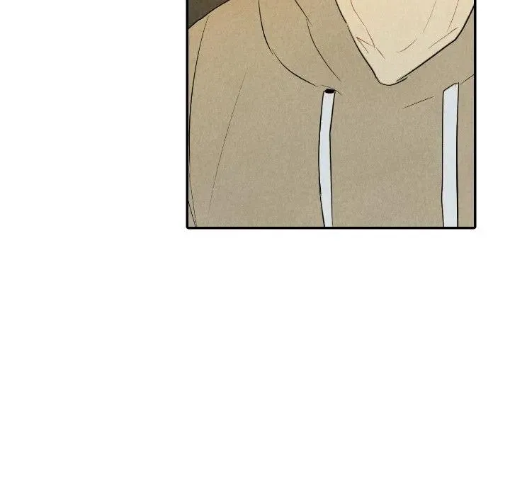 37 第54页