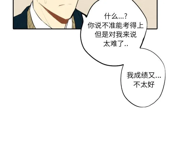 37 第96页