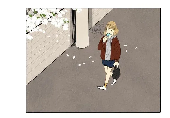 5 第3页