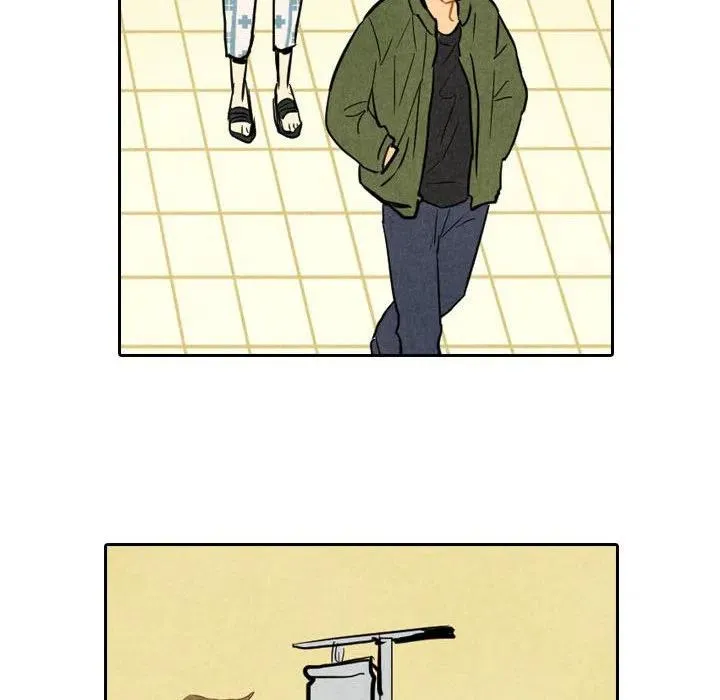 5 第24页
