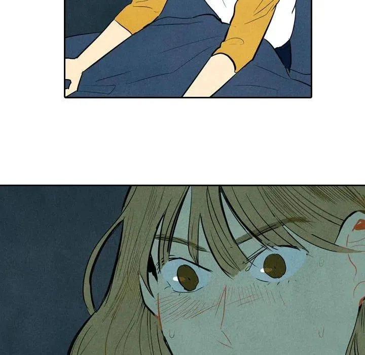 5 第115页