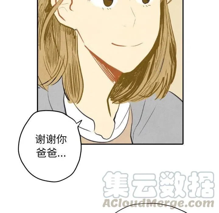8 第25页