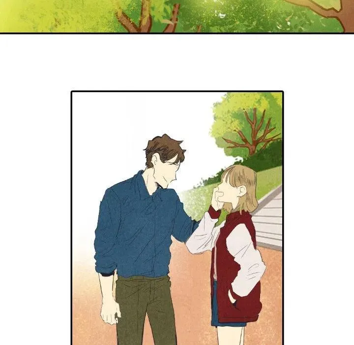 8 第31页