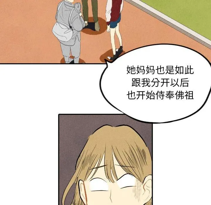 8 第48页