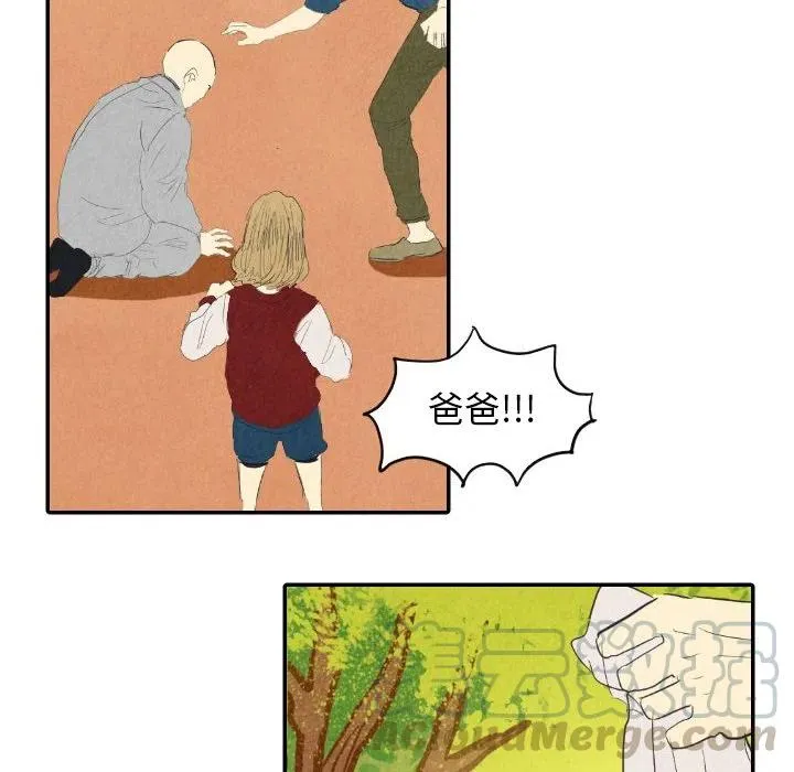 8 第77页