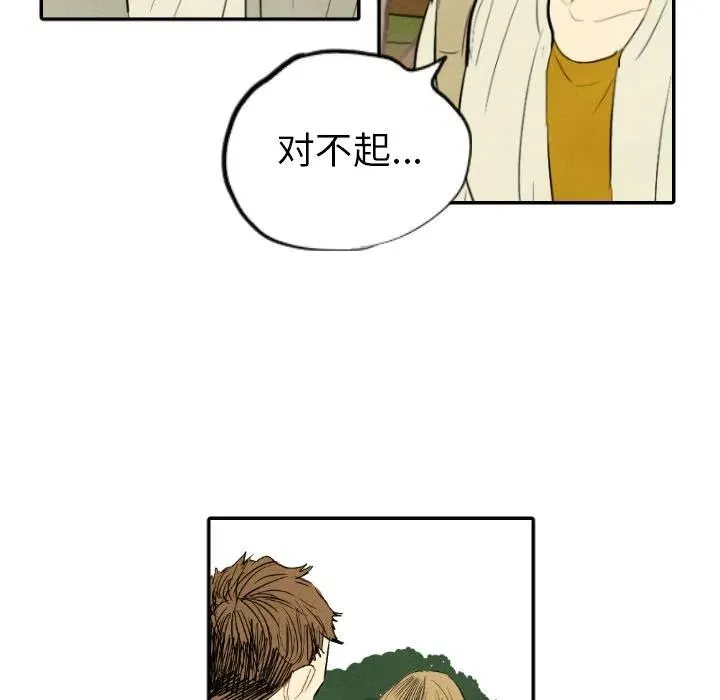 11 第31页
