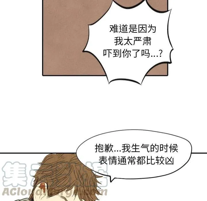 11 第41页