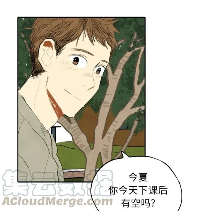 11 第49页