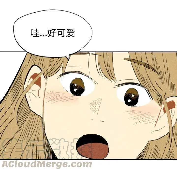 11 第53页