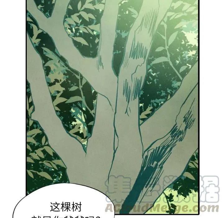 11 第73页