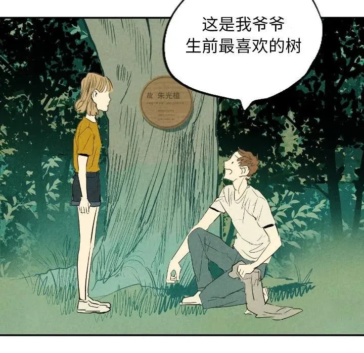 11 第84页