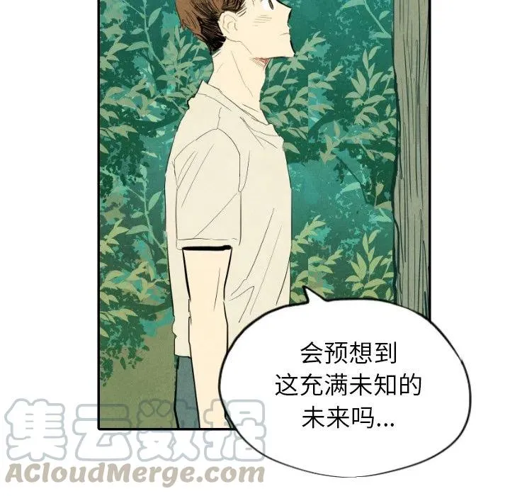11 第113页