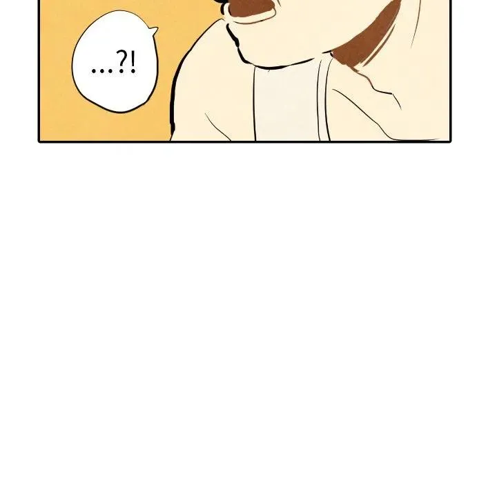 12 第11页