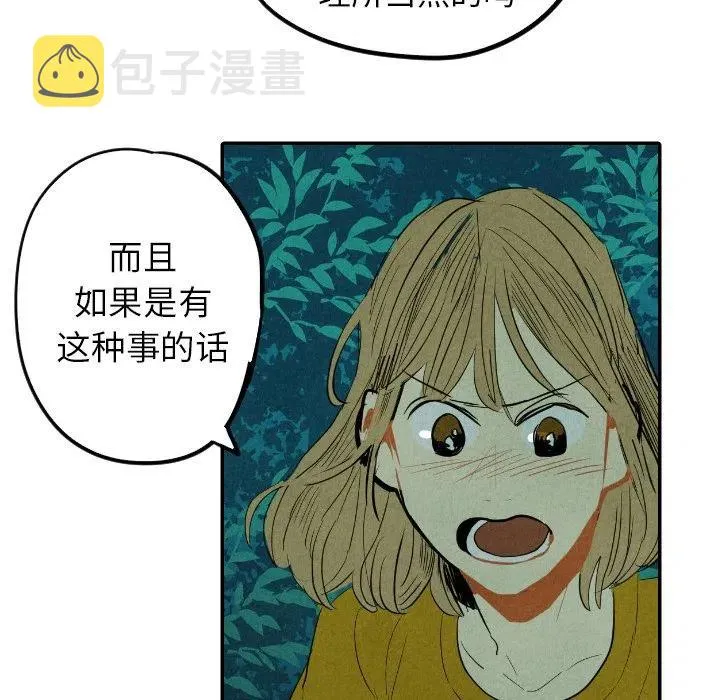 13 第120页