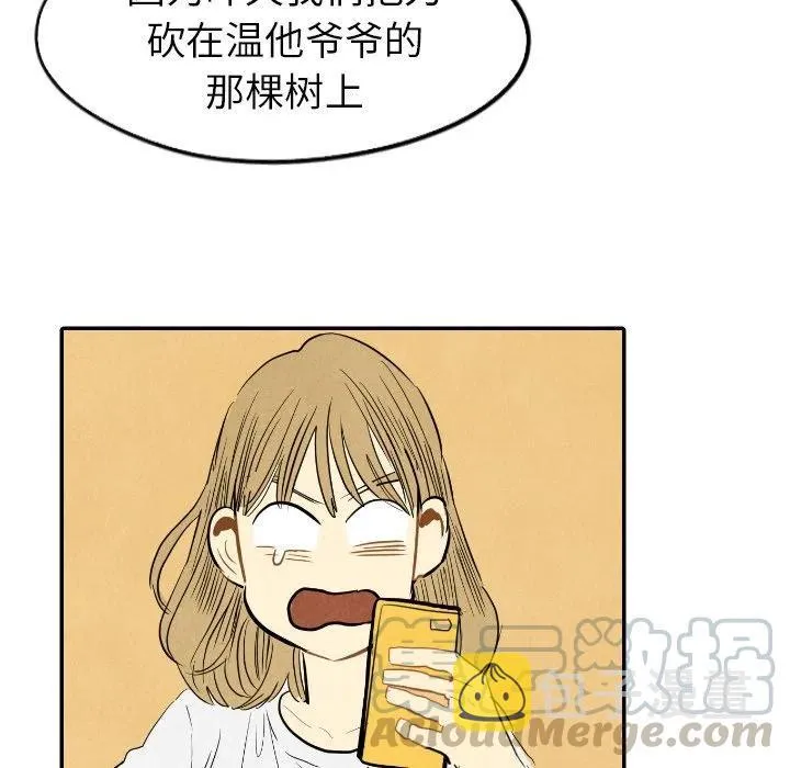 14 第81页