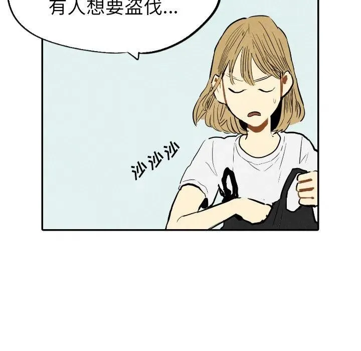 14 第86页