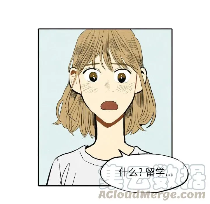 15 第25页