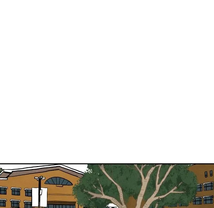 15 第39页