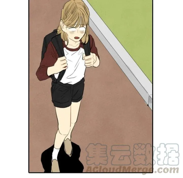 15 第41页