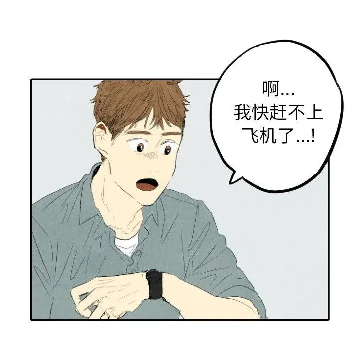 16 第8页