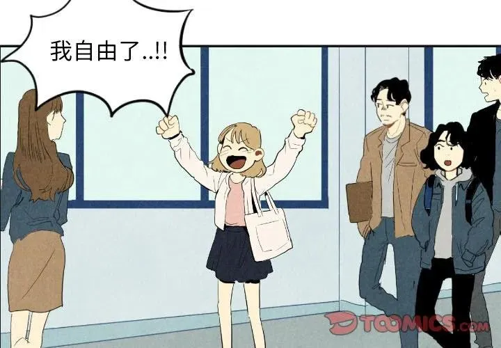 17 第3页