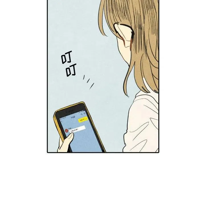 17 第14页