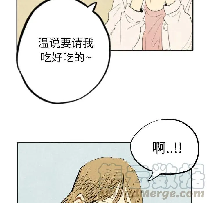 17 第29页